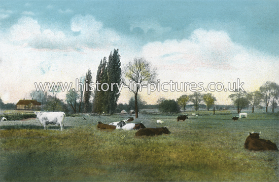 Harlowbury, Harlow, Essex. c.1920
